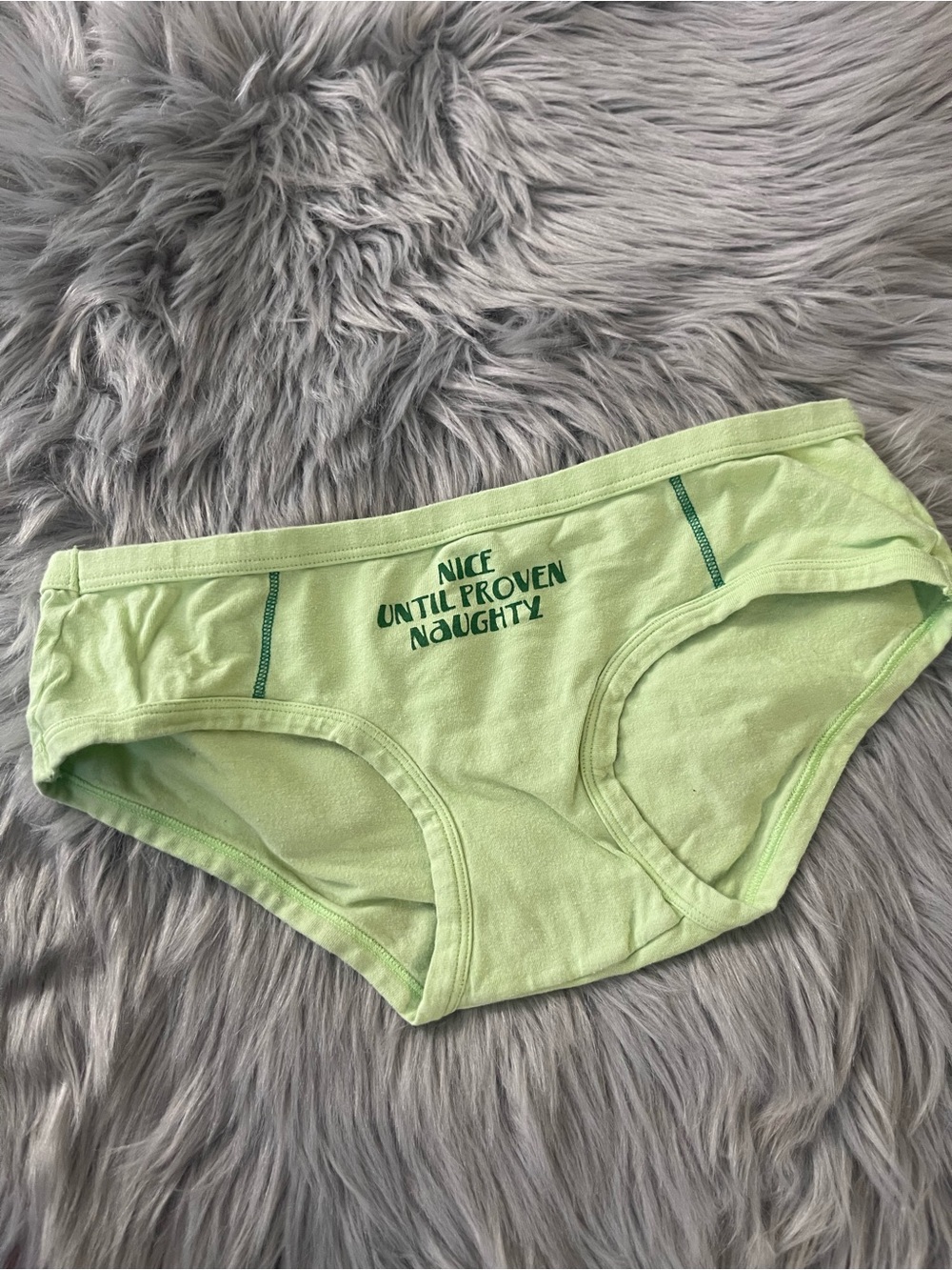 Aerie boy brief panties nice until proven naughty nwot #2806